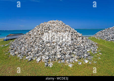 Gestapelte leere Hüllen von Königin Conches (Strombus gigas), ehemalige Delikatesse, heute geschützt, Bonaire, Niederländische Antillen Stockfoto