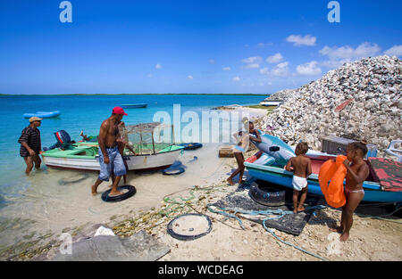 Fischer an der Westküste, gestapelte leere Hüllen von Königin Conches (Strombus gigas) am Strand, ehemaliger Delikatesse, nun geschützt, Bonaire, Niederländische Antillen Stockfoto