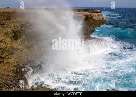 Schwankende Wogen, rauhen Osten von Bonaire, Washington Slagbaai Nationalpark, STINAPA, Bonaire, Niederländische Antillen Stockfoto