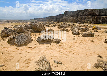 Wüstenähnlichen Landschaft in Washington Slagbaai Nationalpark, STINAPA, Bonaire, Niederländische Antillen Stockfoto