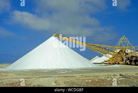 Salinen Bonaire, Salzbergwerk, natürliche Verdunstung von Sonne und Wind, das Salz in der Salz Betten, Bonaire, Niederländische Antillen kristallisiert Stockfoto