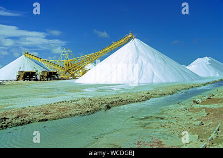 Salinen Bonaire, Salzbergwerk, natürliche Verdunstung von Sonne und Wind, das Salz in der Salz Betten, Bonaire, Niederländische Antillen kristallisiert Stockfoto