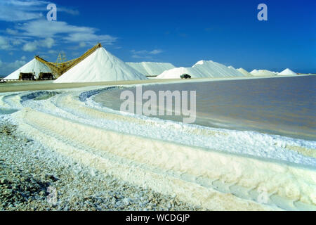 Salinen Bonaire, Salzbergwerk, natürliche Verdunstung von Sonne und Wind, das Salz in der Salz Betten, Bonaire, Niederländische Antillen kristallisiert Stockfoto