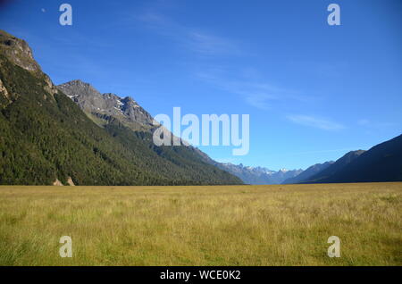 Eglinton Valley entlang Milford Road auf dem Weg zum Milford Sound, Neuseeland Stockfoto