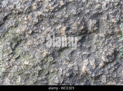 Makro Nahaufnahme einer rauhen rock Oberfläche mit feinem Sand. Hochauflösende full frame strukturierten Hintergrund. Stockfoto