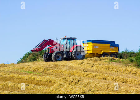 8. August 2019 eine große Massey Ferguson Traktor und Anhänger im County Down in Nordirland während der gerstenernte. Stockfoto