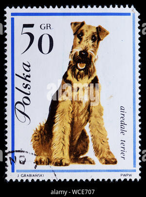 Polen Briefmarke - Airedale Terrier (Canis Lupus Familiaris) Stockfoto