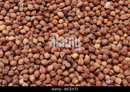 Getrocknete schwarze Kichererbsen als eine abstrakte Hintergrundtextur Stockfoto