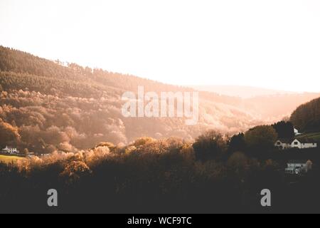 Schöne Aufnahme von braunen Bäumen und Grün auf Hügeln und Berge auf dem Land bei Sonnenuntergang Stockfoto