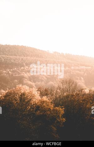 Schöne Aufnahme von braunen Bäumen und Grün auf Hügeln und Berge auf dem Land bei Sonnenuntergang Stockfoto