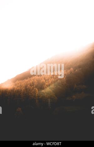 Schöne Aufnahme von braunen Bäumen und Grün auf Hügeln und Berge auf dem Land bei Sonnenuntergang Stockfoto