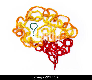 Conceptual illustration about thinking, learning, shape of brain from colored threads for embroidery, question or idea. Stockfoto