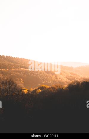 Schöne Aufnahme von braunen Bäumen und Grün auf Hügeln und Berge auf dem Land bei Sonnenuntergang Stockfoto