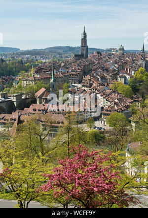 Erhöhter Blick über die Berner Altstadt. Mit Kathedrale auf einem Hügel. Bern, Schweiz Stockfoto