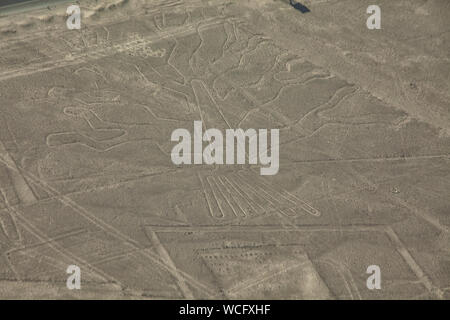 Der Baum. Blick auf geoglyph der Baum, Nasca Linien, Peru Stockfoto