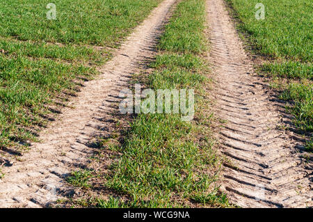 Titel aus einem Raupenschlepper, Titel aus einem Traktor auf dem Boden Stockfoto