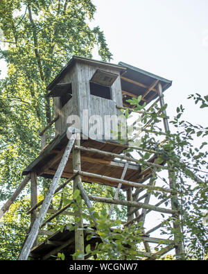 Hochsitz Hochsitz für die Jagd Stockfoto