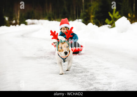 Süßer Hund tragen Kostüm von Weihnachten Rentier und Weihnachtsmann in rot Schlitten Stockfoto