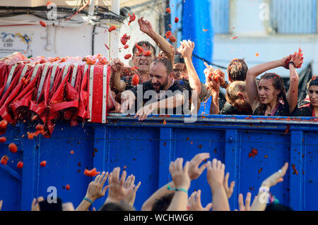 Buñol, Valencia, Spanien, 28. August 2019, der weltweit größte friedliche Tomate Krieg gefeiert wird auf den Straßen. 22.000 junge Menschen starten 150.000 kg reife Tomaten in 6 Lkw verteilt. Credit: Salva Garrigues/Alamy leben Nachrichten Stockfoto