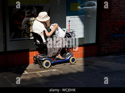 Alte Dame auf Mobilität scooter, England Großbritannien Stockfoto
