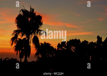 Sonnenuntergang in Rabat Marokko, Nordafrika Stockfoto