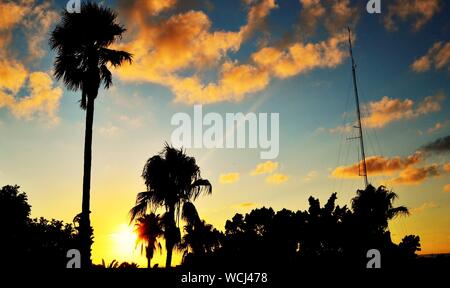 Sonnenuntergang in Rabat Marokko, Nordafrika Stockfoto