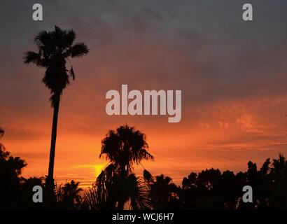 Sonnenuntergang in Rabat, Marokko Stockfoto