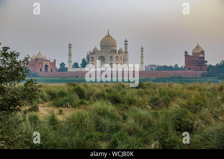 Blick auf das legendäre Taj Mahal, von River Park auf dem Yamuna-fluss, Agra, Uttar Pradesh, Indien, Zentralasien Stockfoto