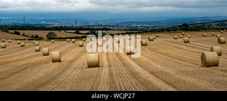 Strohballen in der Landschaft Stockfoto