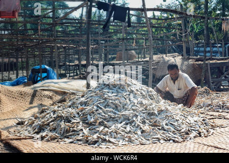 Bangladesch. 27 Aug, 2019. Trockene Fischindustrie von Bangladesch ist ein aufstrebender und es ist eine große positive Auswirkungen auf die finanziellen Zone dieses Landes. (Foto durch Rajiul Huda Dipto/Pacific Press) Quelle: Pacific Press Agency/Alamy leben Nachrichten Stockfoto