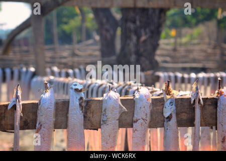 Bangladesch. 07 Jan, 2019. Trockene Fischindustrie von Bangladesch ist ein aufstrebender und es ist eine große positive Auswirkungen auf die finanziellen Zone dieses Landes. (Foto durch Rajiul Huda Dipto/Pacific Press) Quelle: Pacific Press Agency/Alamy leben Nachrichten Stockfoto