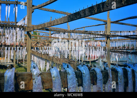 Bangladesch. 07 Jan, 2019. Trockene Fischindustrie von Bangladesch ist ein aufstrebender und es ist eine große positive Auswirkungen auf die finanziellen Zone dieses Landes. (Foto durch Rajiul Huda Dipto/Pacific Press) Quelle: Pacific Press Agency/Alamy leben Nachrichten Stockfoto