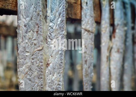 Bangladesch. 07 Jan, 2019. Trockene Fischindustrie von Bangladesch ist ein aufstrebender und es ist eine große positive Auswirkungen auf die finanziellen Zone dieses Landes. (Foto durch Rajiul Huda Dipto/Pacific Press) Quelle: Pacific Press Agency/Alamy leben Nachrichten Stockfoto