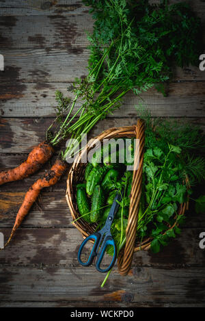 Ernte Gurken und Garten Schere in einem Korb, frisch geerntete Möhren im Boden auf hölzernen Hintergrund im Freien. Bild vertikal. Stockfoto