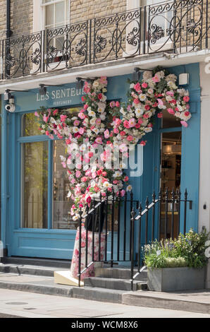 Blumenschmuck auf Fassaden für Chelsea in der Blüte, London, UK Stockfoto