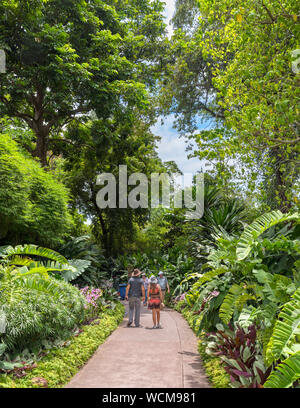 Weg durch den National Orchid Garden, Botanischer Garten Singapur, Singapur Stockfoto
