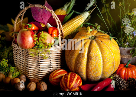 Die Tabelle, mit Gemüse und Früchten dekoriert. Harvest Festival. Happy Thanksgiving. Herbst Hintergrund. Selektive konzentrieren. Horizontale. Stockfoto