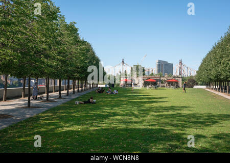 Roosevelt Island Park, Ansicht im Sommer der Linden und die Menschen entspannen auf dem Rasen des Franklin D Roosevelt vier Freiheiten Park, New York City, USA. Stockfoto