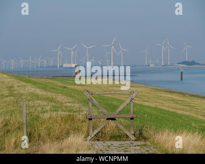 Das Dorf von Ditzum an der Ems in Deutschland Stockfoto