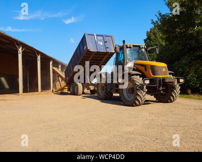 Ein JCB Fastrac und Anhänger seine Last von Weizen bis beim Entleeren eines Fyson Aufzug in der Zwischenlagerung in einer Farm Yard Stockfoto