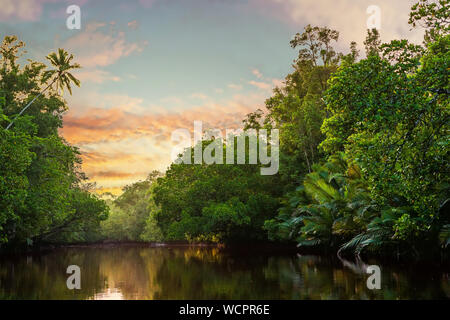 Sunsrise über Regenwald und Kanal in der Aru Insel Maluku Archipel, Papua, Indonesien Stockfoto