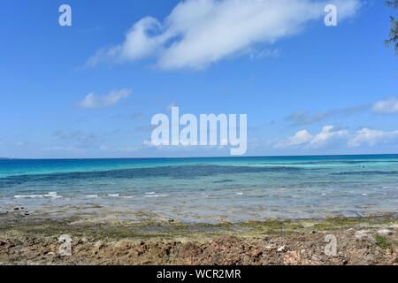 Prison Island, Sansibar Tansania Stockfoto