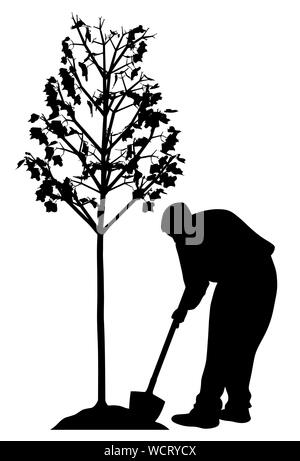 Junger Mann einen Baum pflanzen Stockfoto