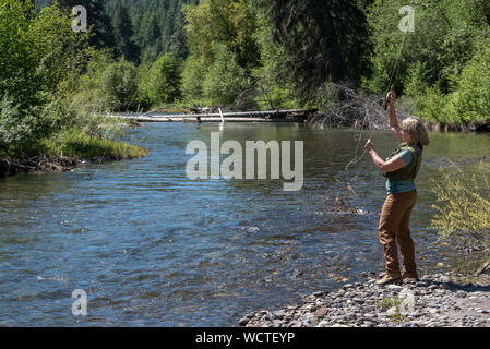 Frau Angeln in Minam Fluss, Wallowa Mountains, Oregon. Stockfoto