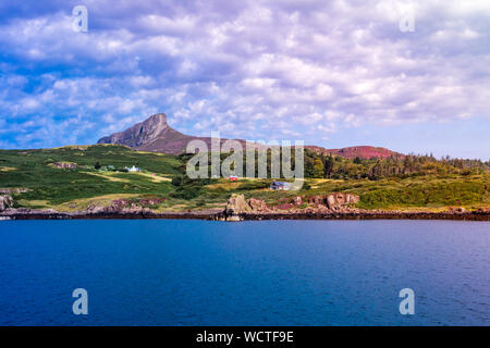 Insel Eigg, Inneren Hebriden in Schottland. Eine Sgurr abgedeckt in blühenden, lila Heidekraut während des Monats August. Bunte Häuschen und den Wald. Stockfoto