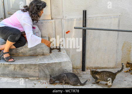 Eine Frau füttert streunende Katzen im Plaka Viertel von Athen, Griechenland Stockfoto