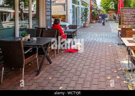 Eine Frau sitzt allein an einem Tisch in ein straßencafe mit ihrem kleinen, weißen Pudel Rasse Hund neben ihr als Touristen und Deutsche kaufen in Warnemünde Deutschland Stockfoto