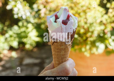 Vanille und Erdbeer Eis in der Hand einer Frau Stockfoto