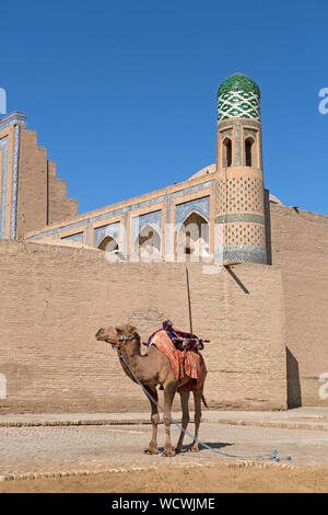 Ein Kamel, für Fahrten für Touristen, der Altstadt von Chiwa in Usbekistan. Stockfoto