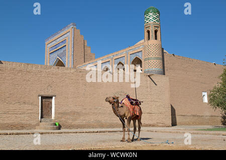 Ein Kamel, für Fahrten für Touristen, der Altstadt von Chiwa in Usbekistan. Stockfoto